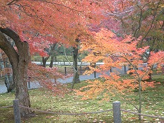 紅葉の南禅寺240　6枚　12