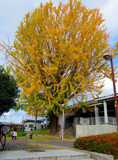 2011-12-11_0197.jpg