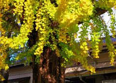 2011-12-11_0194.jpg