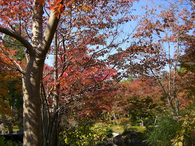 水景園640・5（28）