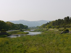 府立植物園240-6
