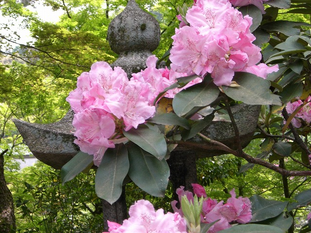 宇治を歩く　640-4