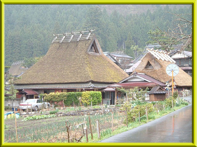美山の春640-3.jpg