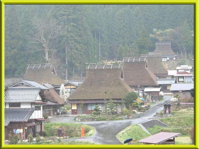 美山の春640-5.jpg
