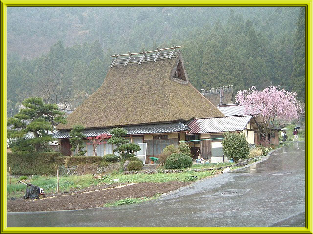 美山の春640-6.jpg