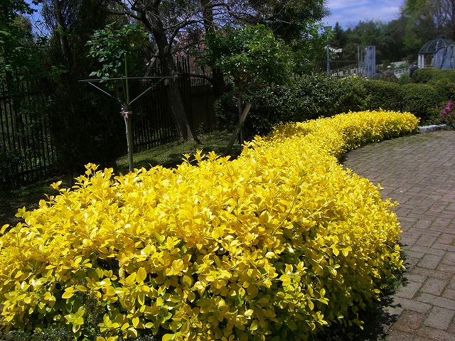 鶴見緑地640.1