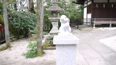 うさぎ１