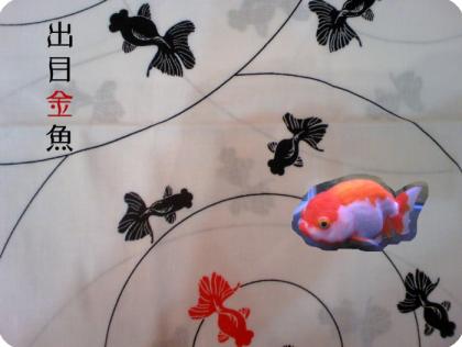 出目金魚