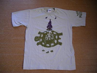 Little Eagle forest turtle.jpg