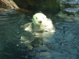 DSCF9405 (640x480).jpg