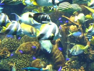 DSCF9411 (640x480).jpg