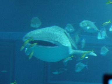 DSCF9418 (640x480).jpg