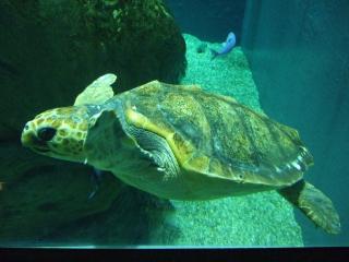 DSCF9424 (640x480).jpg