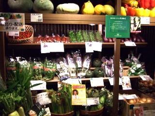 DSCF9601 (640x480).jpg