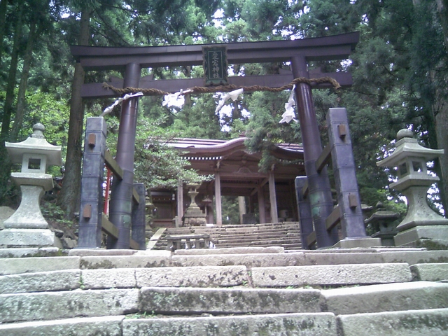 torii2.jpg