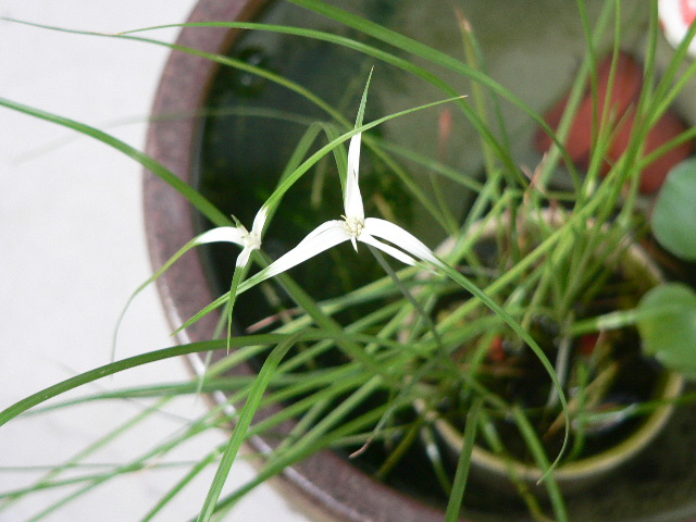 P1060018.JPG