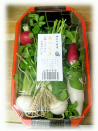 SANY0077.jpg