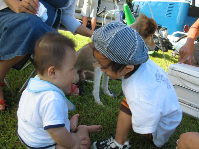 VWピクニックin浜名湖 048.jpg