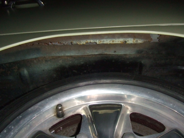 ナロード 002.jpg