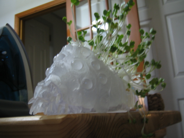 オーム 003.jpg