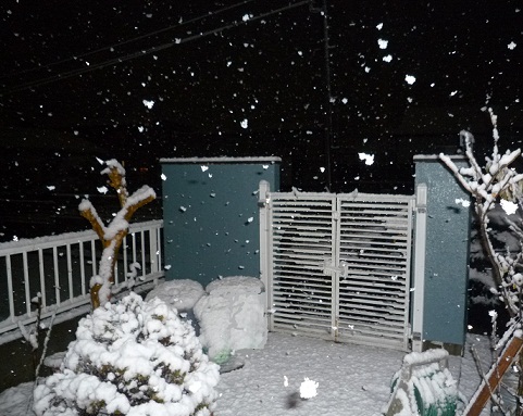 雪3.jpg