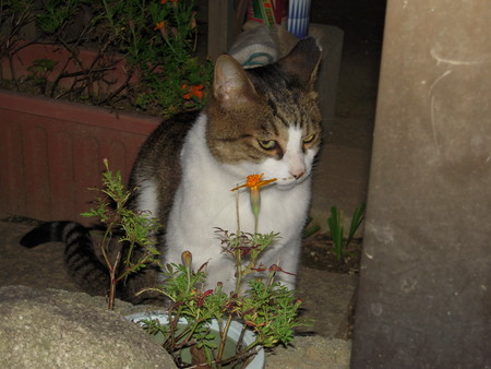 DSCN0599.jpg