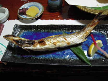 DSCN0630.jpg