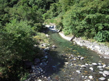 DSCN0594.jpg
