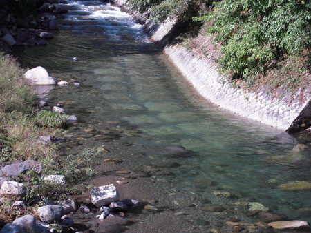 DSCN0595.jpg