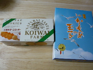 P1000505.JPG
