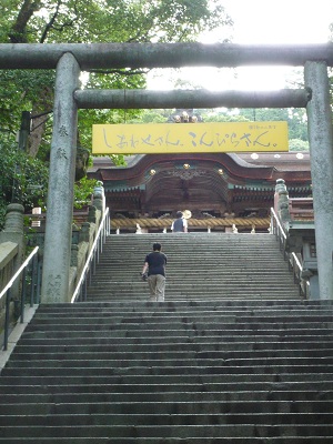 P1010387.JPG