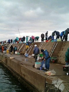 061211_1500~0001.jpg