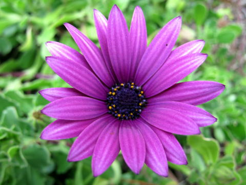 IMG_00591.jpg