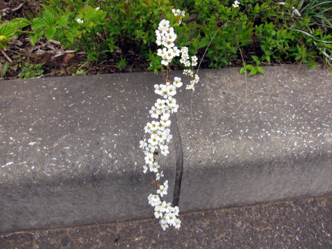 IMG_00621.jpg