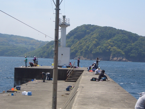 大波止.jpg