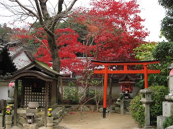 紅葉