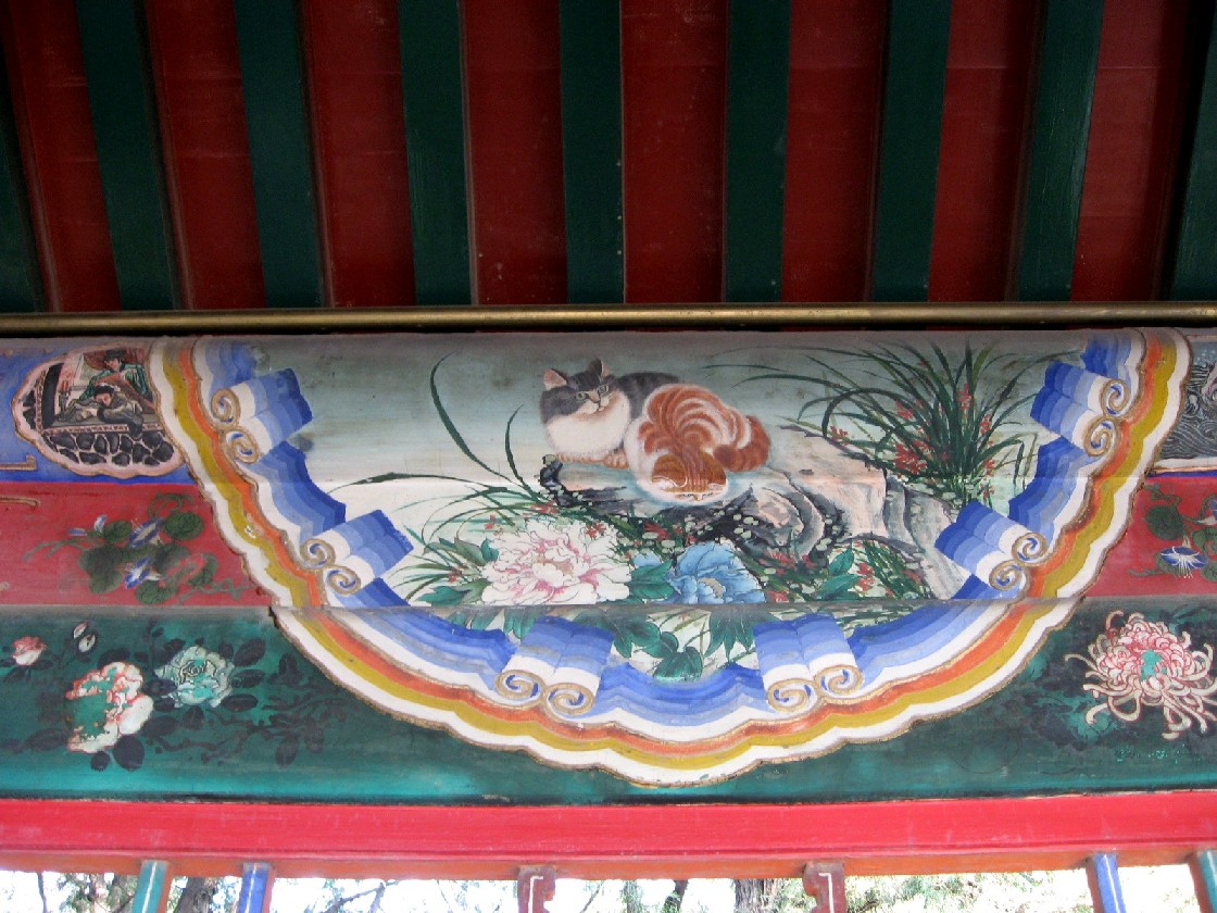 頤和園　猫