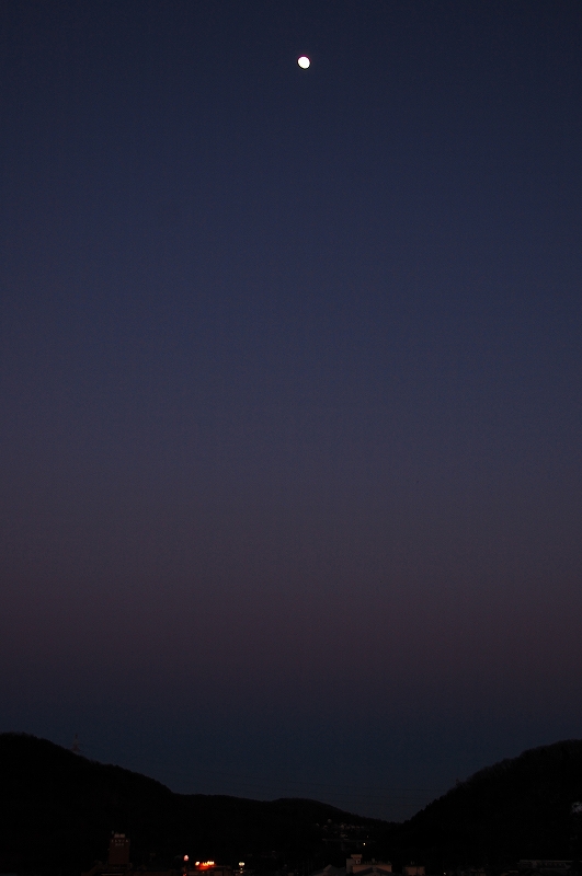 D40 234-2.jpg