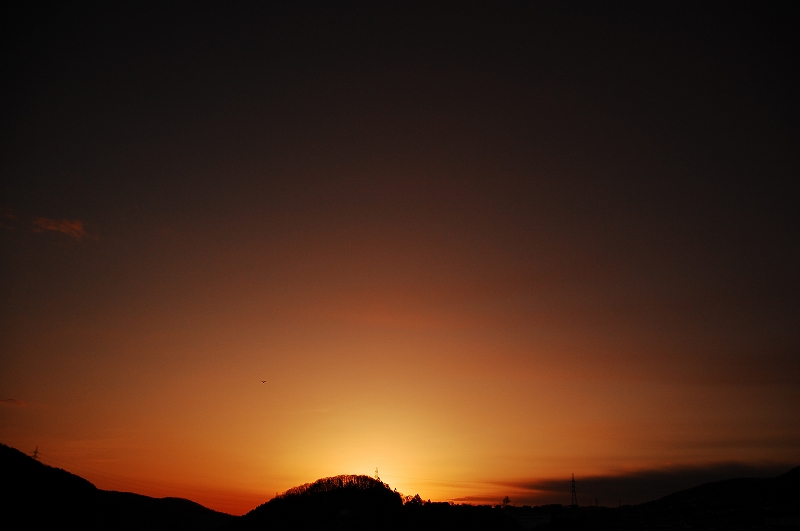 D40 246.jpg