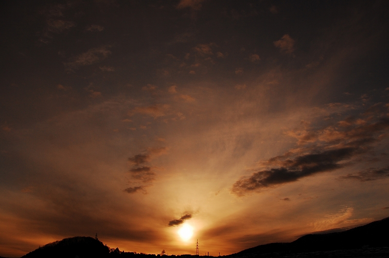 D40 014-2.jpg