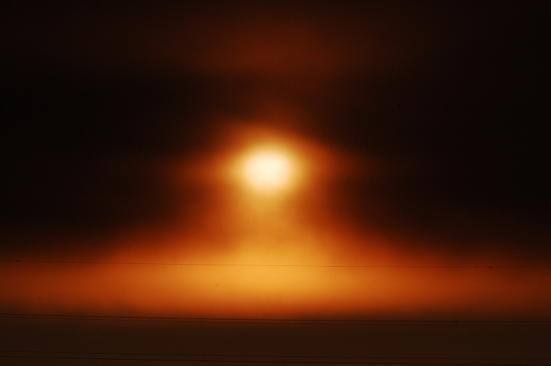 D40 722.jpg