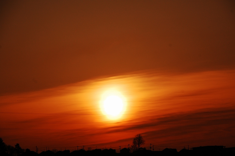 D40 204.jpg