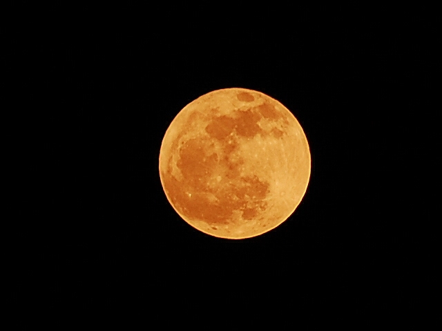 D40 117.jpg