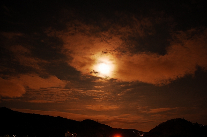 D40 127.jpg