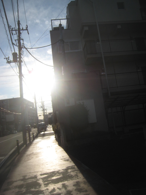 朝の散歩136.JPG