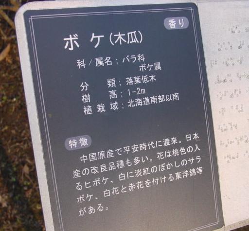 札.JPG