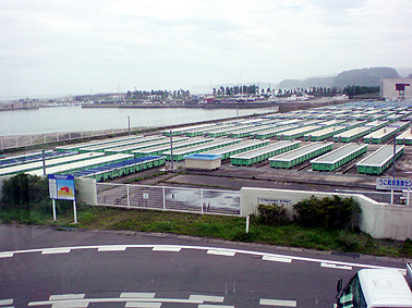 うに養殖.jpg