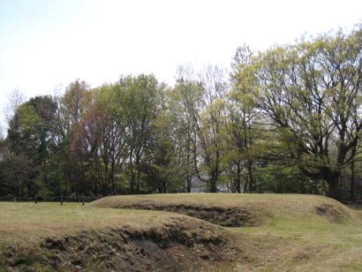 大塚・歳勝土遺跡.jpg