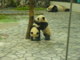 育児日記8ヶ月 079.jpg