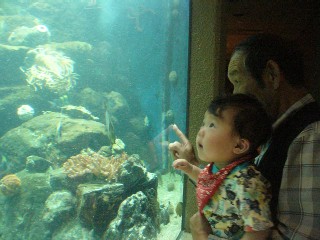 育児日記8ヶ月 216.jpg